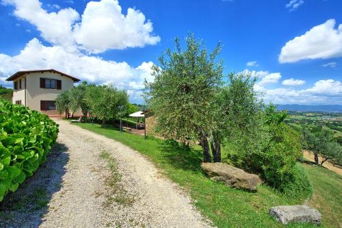 Viesnīcas āriene, Villa Ulivi by PosarelliVillas in Lucignano