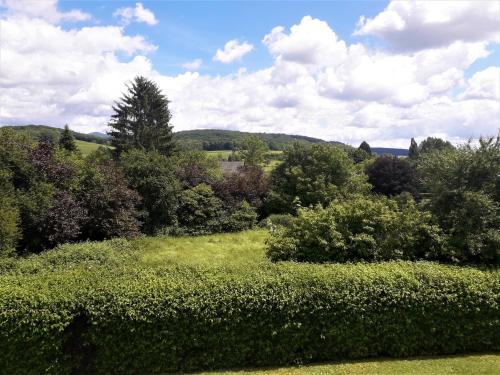 A környék, Komfortapartment Schwarzwaldblick Nähe Golfplatz (Komfortapartment Schwarzwaldblick Nahe Golfplatz) in Bad Bellingen