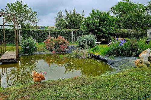 Maison calme entre terre et mer gîte à louer Sablonceaux