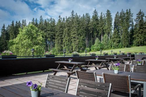 Surrounding environment, Wellness Hotel Sedy Vlk in Harrachov
