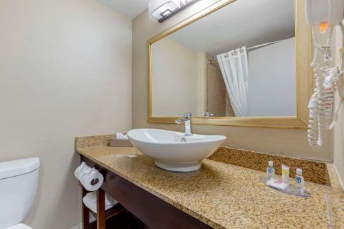 Comfort Inn Herndon-Reston - image 6