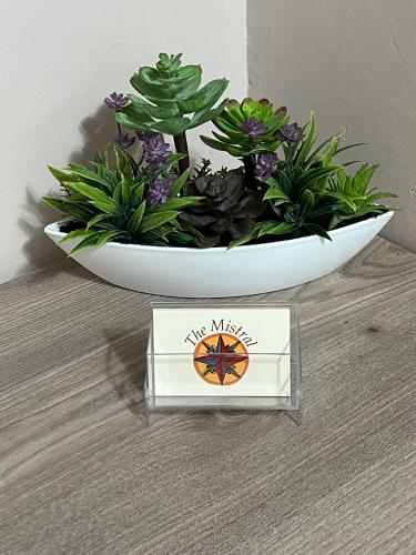  The mistral in Scilla