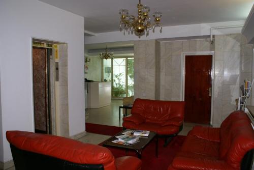 Pensiunea Helvetia - image 14