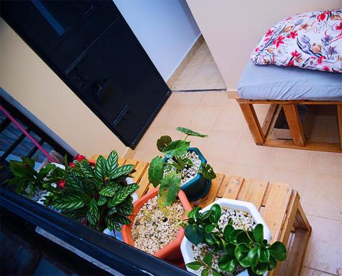 บริการและสิ่งอำนวยความสะดวก, Portland Place in เอลดอเรต