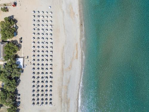 Iosifina rooms, 80 metres from Episkopi beach! 3