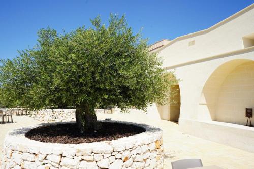 外部景觀, MASSERIA ACQUASALE - RELAIS & RESTAURANT in 聖焦爾焦約尼科