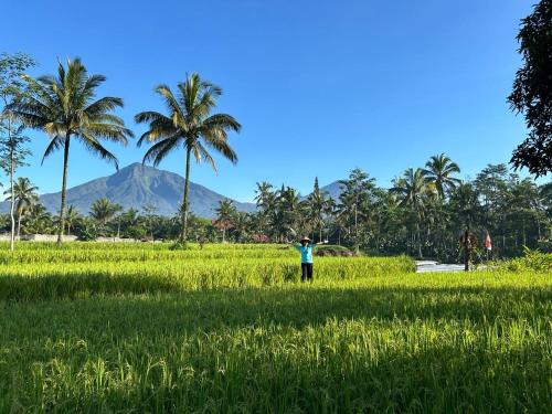 Surrounding environment, Pesona Java Ijen Homestay in Licin