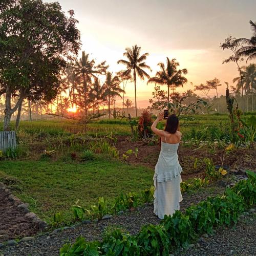 Surrounding environment, Pesona Java Ijen Homestay in Licin