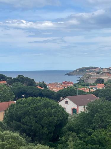 Chez Clo, Collioure (fotografie 3)