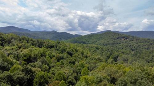 Bearfoot Lodge - Blue Ridge Cabin in Blue Ridge, USA