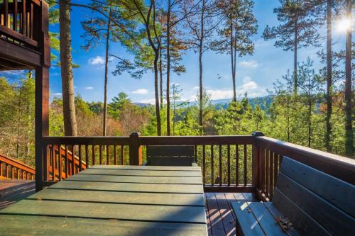 Hog Heaven - Cherry Log GA - Pet Friendly Cabin in Cherry Log, USA