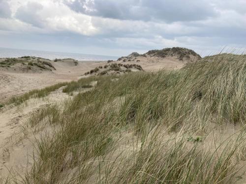 Nabij attractie, TerDuinen in Koksijde