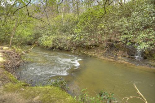 Hothouse Hideaway - Hothouse Creek - Toccoa River in Mineral Bluff, USA