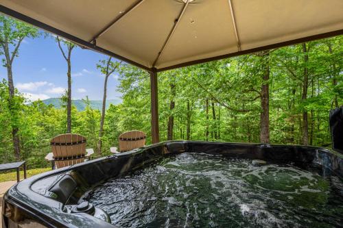 Moonlight Lodge - Views Game Room Firepit in Blue Ridge, USA