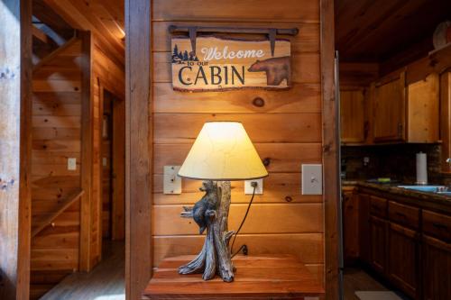 Cherry Goose Lodge - Cherry Log GA in Cherry Log, USA