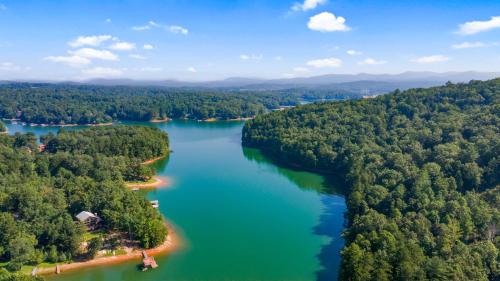 Lakeview Lounge - Lake Nottely - Mountain Views in Mashburn Mill, USA
