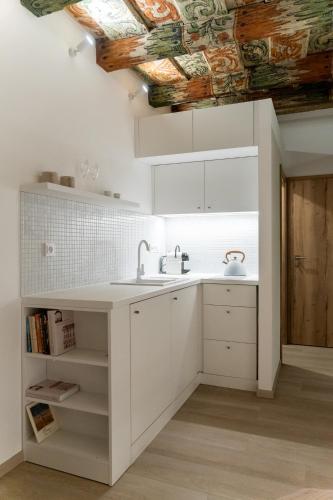 White Wolf Boutique Apartments in Olomouc sentrum
