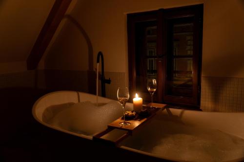 White Wolf Boutique Apartments in Olomouc sentrum
