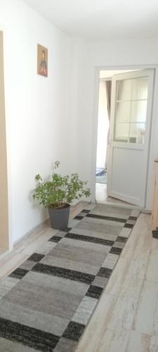 Apartmani Romansa Perucac in Perućac