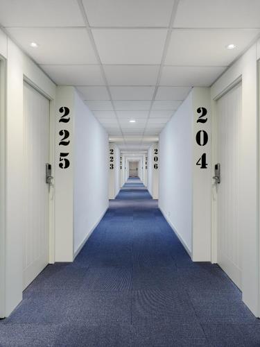 H10 Delfín - Adults Only - image 9