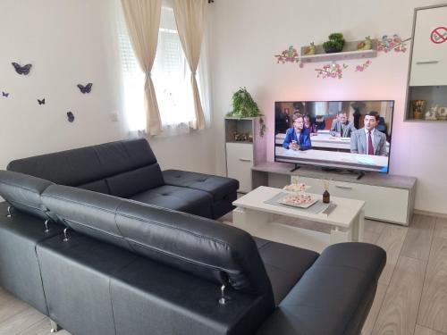 Bruno 1, Senj (Segna) (foto 6)