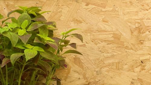 Duplex Apartment image 10