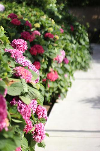 Il Borghetto Creative Resort - image 2
