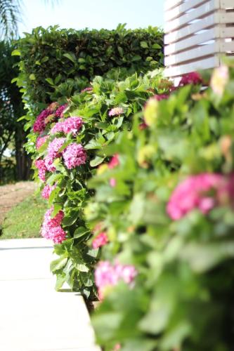 Il Borghetto Creative Resort - image 5