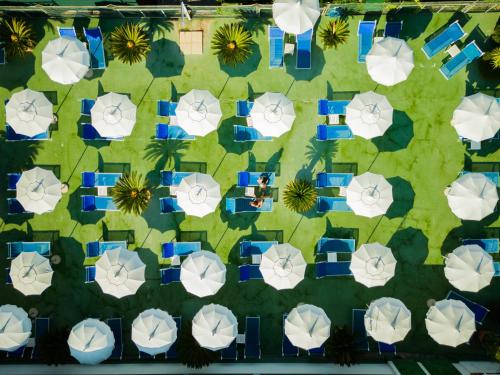 Hotel Central - image 11