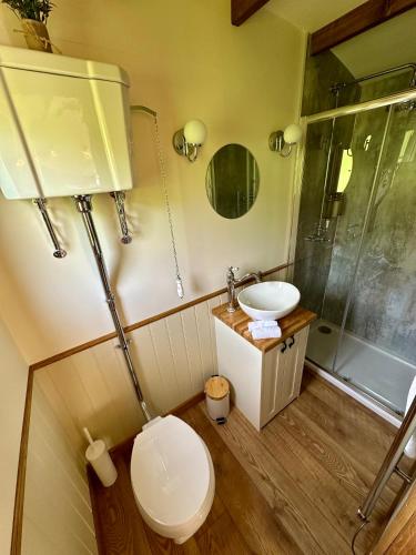 Zuhanyzó, Lintmill Lodges - Thistle Shepherds Hut in Sorn