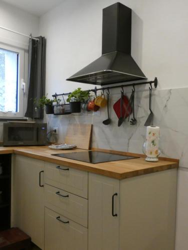 köök, ALICE STUDIO Apartment in Ricco Del Golfo