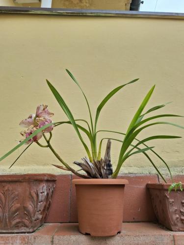 Dimora Del Magnifico, Florencie (fotografie 3)