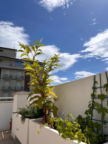 One-Bedroom Apartment with Sea View and Terrace image 7