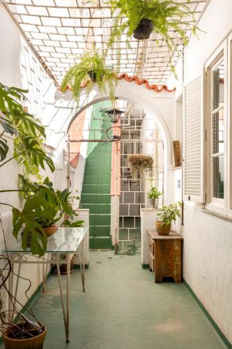 Garden, Chez Zany Boutique Hostel - Santa Teresa in Santa Teresa