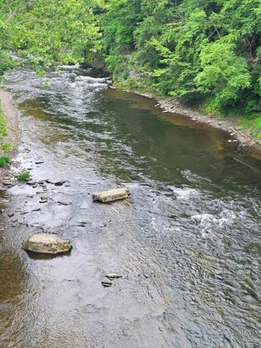 River Walk Retreat - Riverfront at Staircase Pool in Pulaski, USA