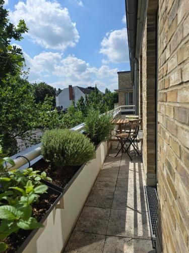 Ruhige Wohnung in Hamburg-Ottensen, Hamburg (zdjęcie 2)