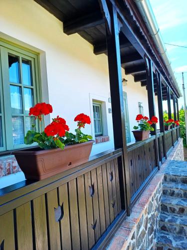 Balcony/terrace, Varlak Hollokon Vendeghaz in Holloko