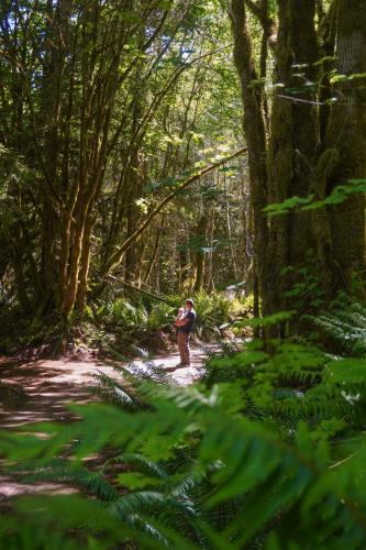 Çevredekiler, Wander Camp Olympic in Port Angeles