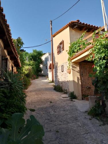 Surrounding environment, Orgon Farm Village Houses in Kastelli