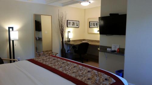 Marin Lodge - image 4
