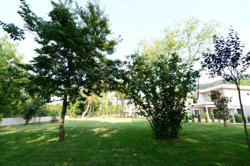 Guzel Evler Family Resort - image 7