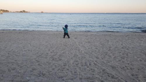 The Fred Deluxe 7 BR by I95 Train HarborVw Beach The Fred Deluxe 7 BR by I95 Train HarborVw Beach