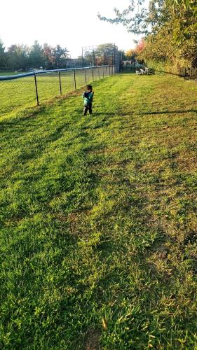 The Fred Deluxe 7 BR by I95 Train HarborVw Beach The Fred Deluxe 7 BR by I95 Train HarborVw Beach