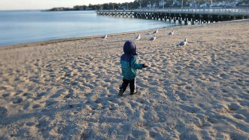 The Fred Deluxe 7 BR by I95 Train HarborVw Beach The Fred Deluxe 7 BR by I95 Train HarborVw Beach