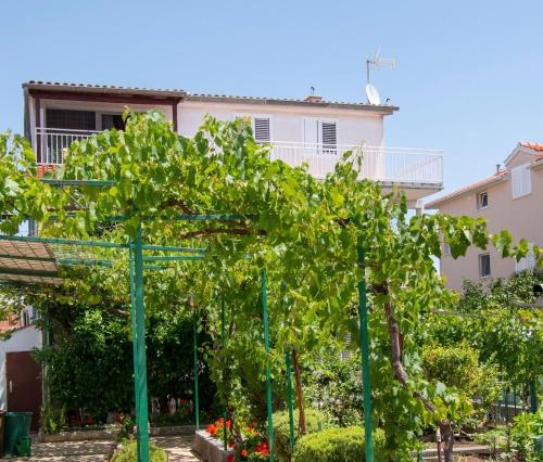 Apartments Neve