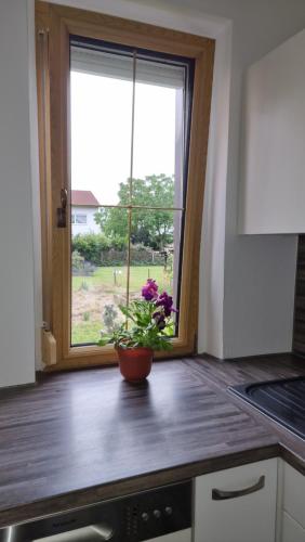 3- Zimmer-Wohnung in Linz Leonding in Linz, Österreich