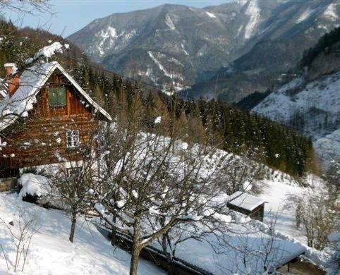 Romantische Ferienhütte Ennstaler Nat Kalkalpen bis 6 Personen