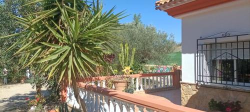 Villa Oasis in Los Gallardos