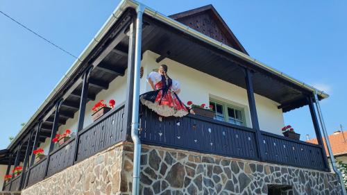 Varlak Hollokon Vendeghaz in Holloko