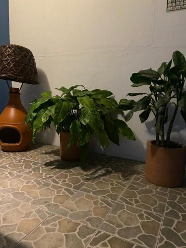 Hotel Casa Juanita – Puerto Escondido, AR